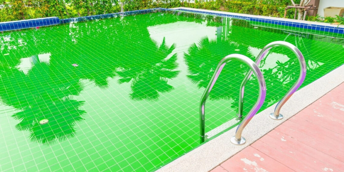 Rengi yeşile dönen bir havuz görseli